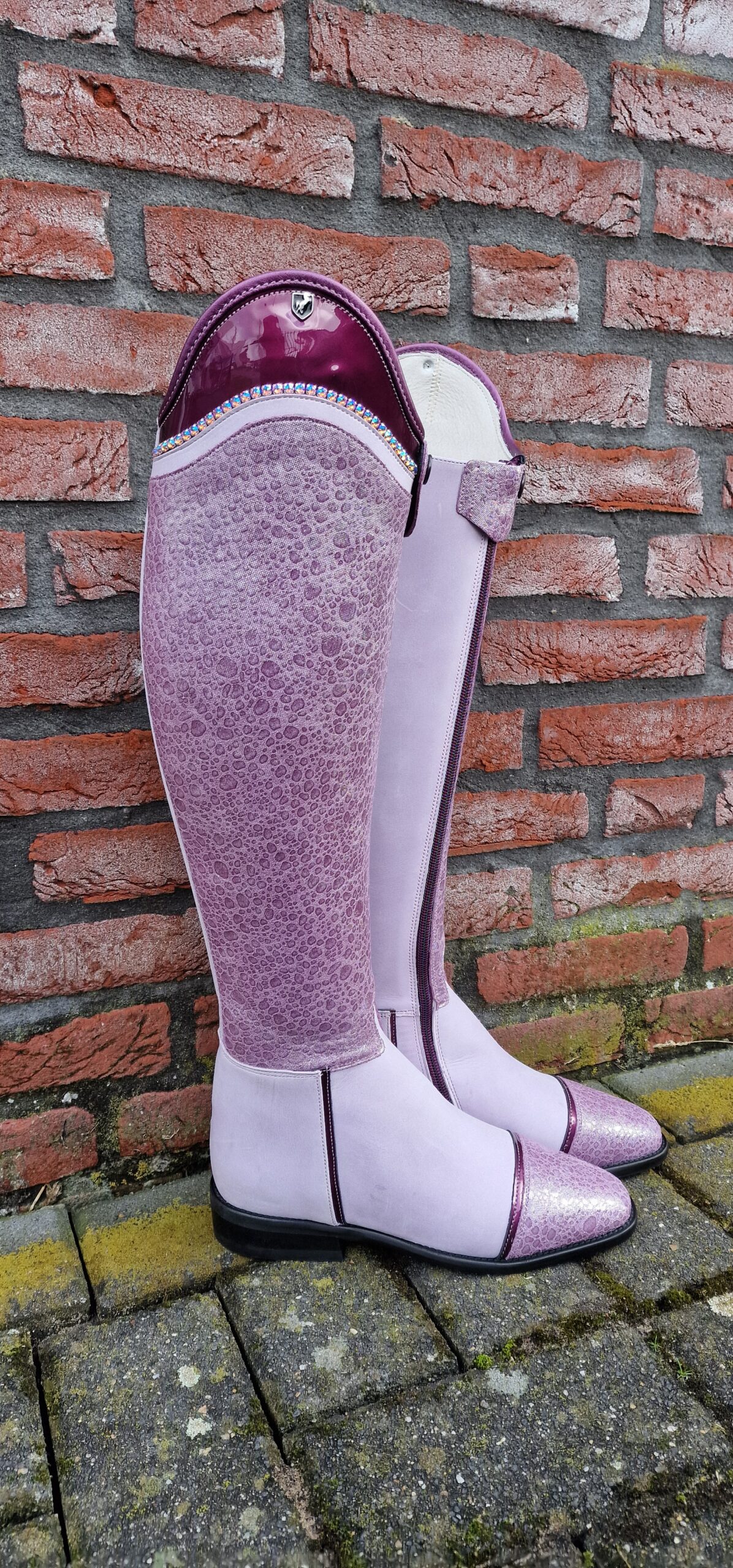 Boot Catalog The Connected Rider San Antonio English Tack Store