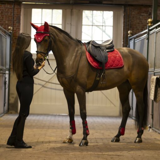 290211 301211 506213 2 scaled 1