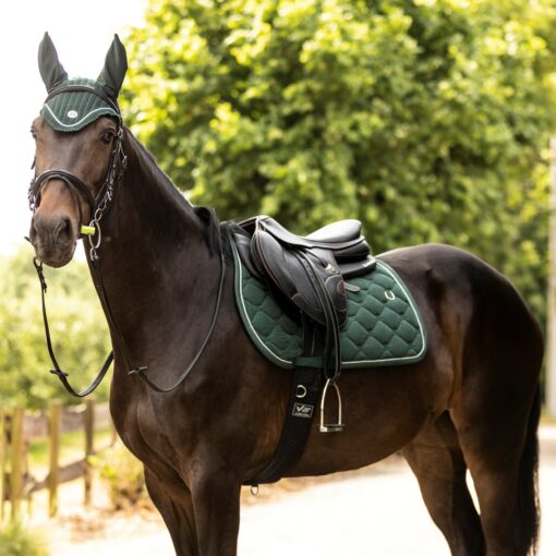 290211 301550 506213 2 scaled 1