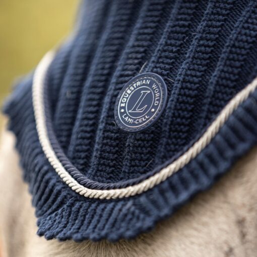 290311 1212 2 1 scaled 1