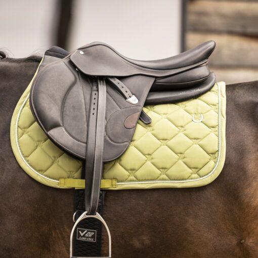 301550 6060 scaled 1