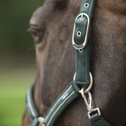 401515 0707 3 scaled 1