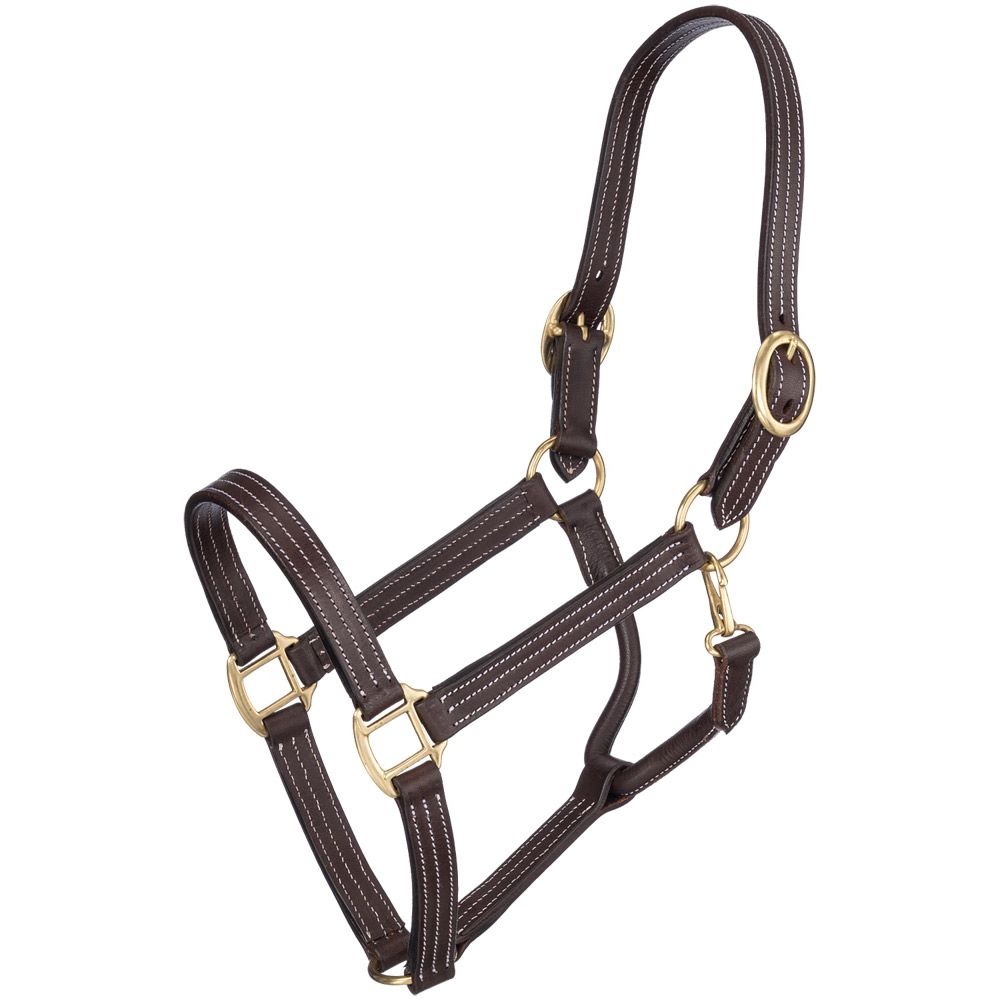 Tough1 Premium Harness Leather Halter 2 Tough1 Premium Harness Leather Halter