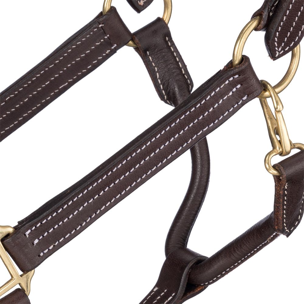 Tough1 Premium Harness Leather Halter 3 Tough1 Premium Harness Leather Halter - Image 2