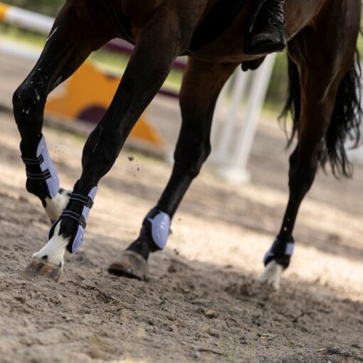 506213 5601 4 scaled 1