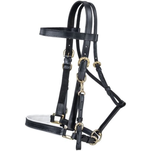 Australian Outrider Deluxe Leather Halter Bridle