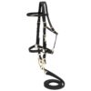 Australian Outrider Nylon Halter Bridle with Reins 2 Australian Outrider Nylon Halter Bridle with Reins