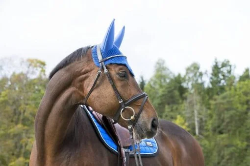 B Vertigo Raxus Noise Cancelling Ear Net Blue 2