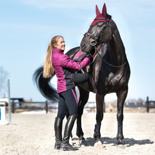 B Vertigo Xandra Women’s BVX Silicone Full-Seat Breeches 8 B Vertigo Xandra BVX Knee Patch Breeches 6