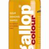 Carr and Day and Martin Horse Gallop Color Enhancing Shampoo 1 Carr and Day and Martin Horse Gallop Colour Enhancing Shampoo