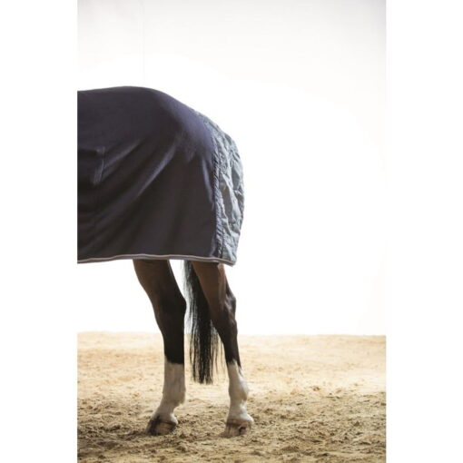 Cavalli Puri Cooler Armonia 5