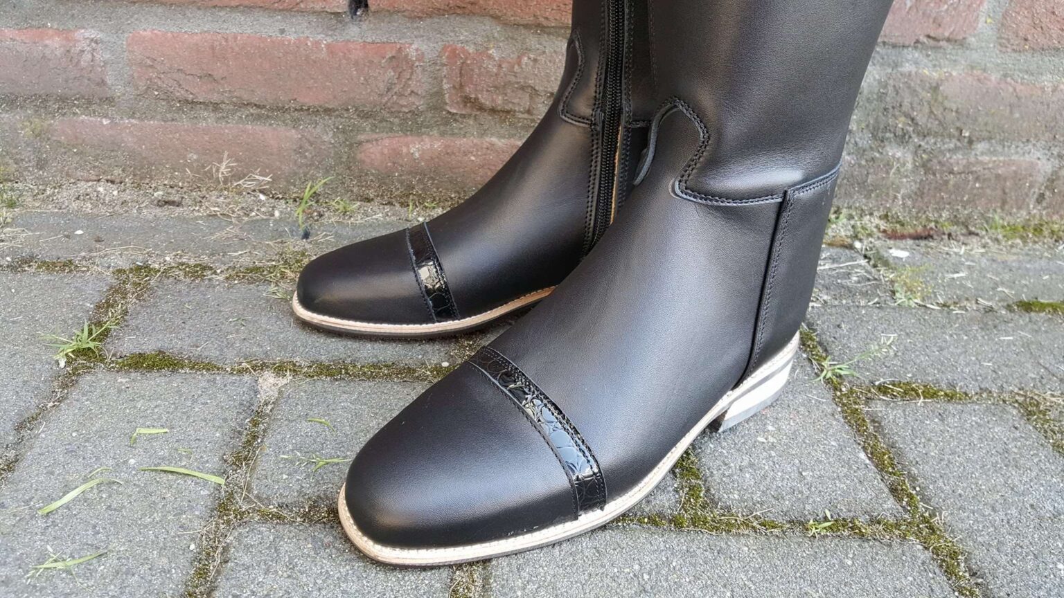 Centimeter Nose The Connected Rider San Antonio English Tack Store