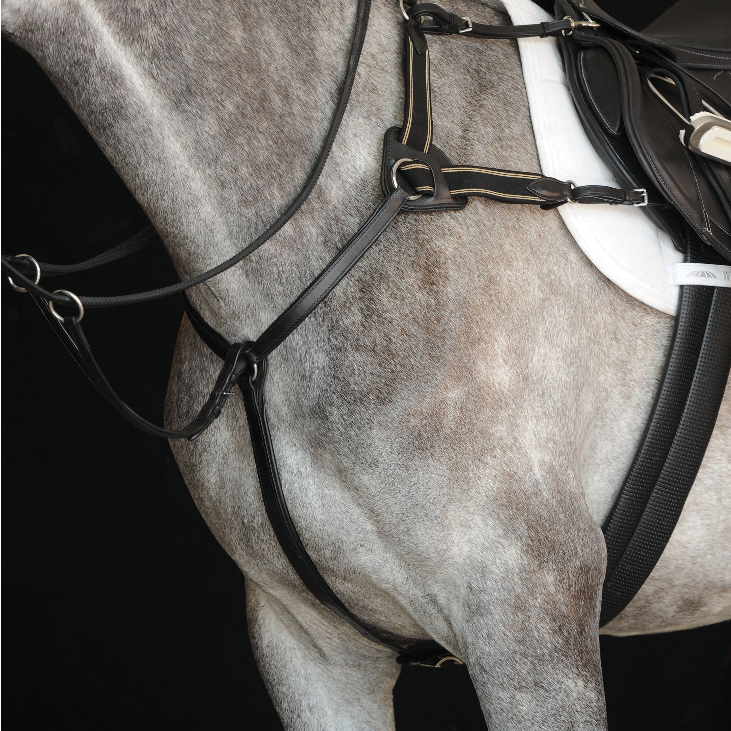 Breastplate Tack