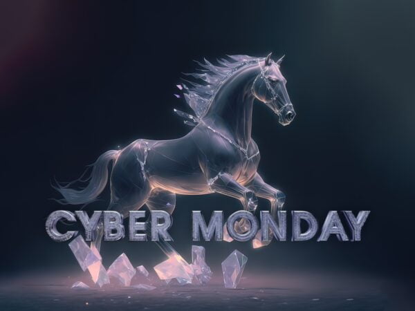Cyber Monday Tack Sale