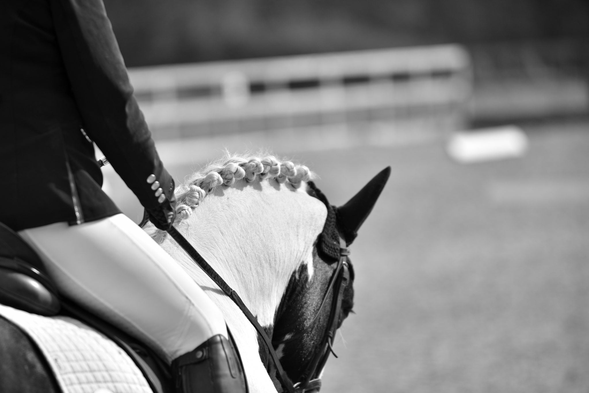 Dressage Show Checklist The Connected Rider San Antonio English Tack Store