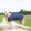 Equi-Sky Basic Stable Sheet 1 Equi Sky Basic Stable Sheet 1