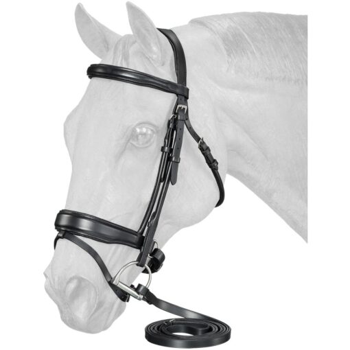 Equitare Cadence Dressage Bridle