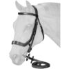 Equitare Cadence Ergonomic Bridle 2 Equitare Cadence Ergonomic Bridle