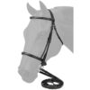 Equitare Raised Fancy Stitched Bridle