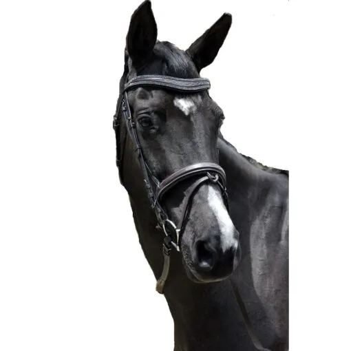 Exselle Elite Fancy Stitched Padded Bridle X Brow Black Black Cob