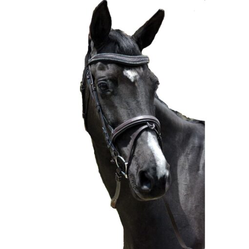 Exselle Elite Fancy Stitched Padded Bridle X Brow Black 5 Exselle Elite Fancy Stitched Padded Bridle X Brow Black Black Oversize