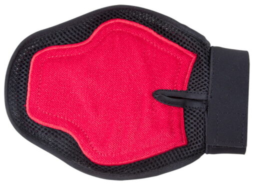 Groom and Slick Mitt