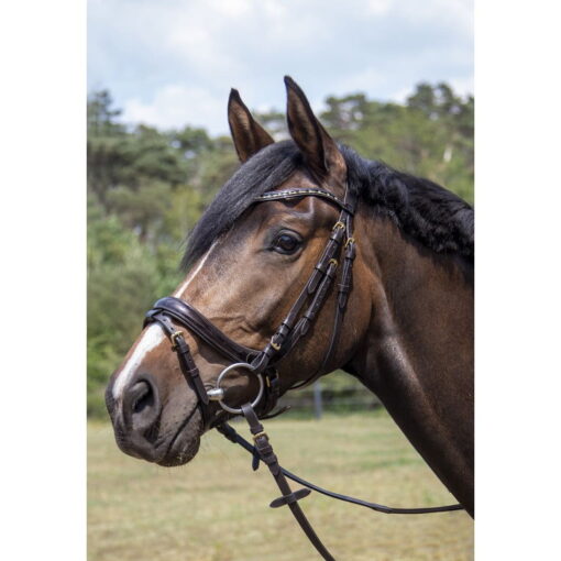 HKM Bridle Leana 13 HKM Bridle Leana2