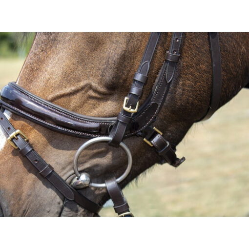 HKM Bridle Leana 17 HKM Bridle Leana6
