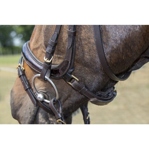 HKM Bridle Leana 18 HKM Bridle Leana7
