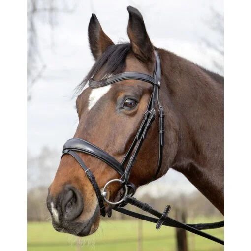 HKM Bridle Melinda version 2