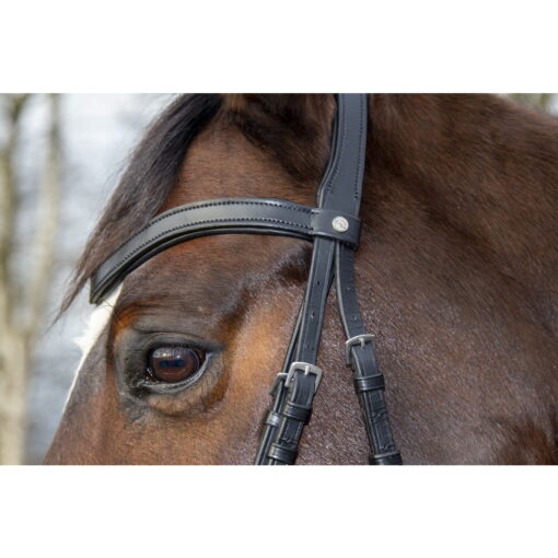 HKM Bridle Melinda version 2