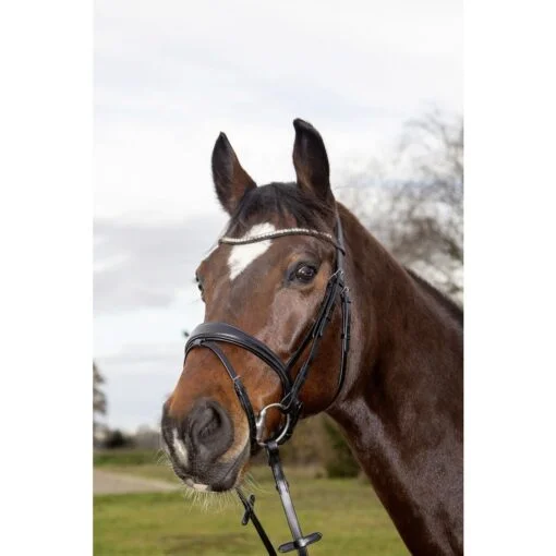 HKM Bridle Melinda