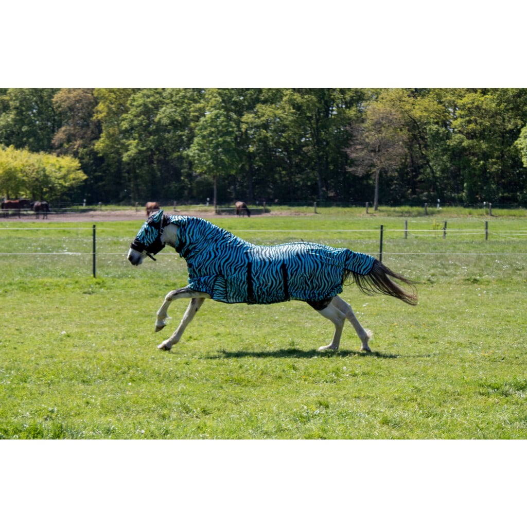 HKM Fixed Neck Combo Zebra Fly Rug with Tail And Belly Flap FREE DELIVERY 