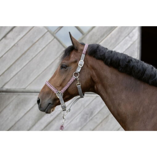 HKM Halter set Della Sera CM Style4