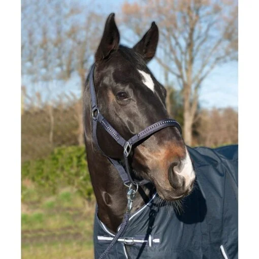 HKM Horse Halter Crystal Fashion