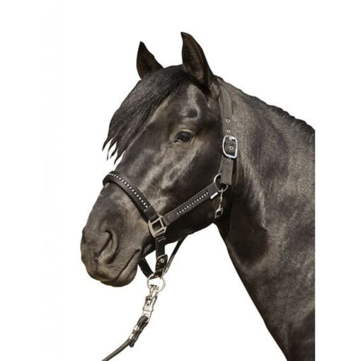 HKM Horse Halter Crystal Fashion2