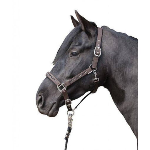 HKM Horse Halter Crystal Fashion5