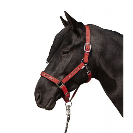 HKM Horse Halter Crystal Fashion6