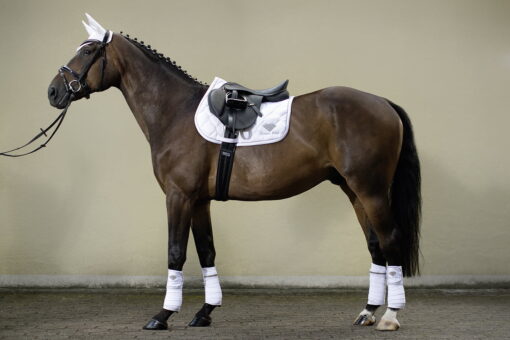 HKM Polo Wraps Diamonds 2