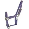 Halter Ring Design Web 2 Halter Ring Design Web2