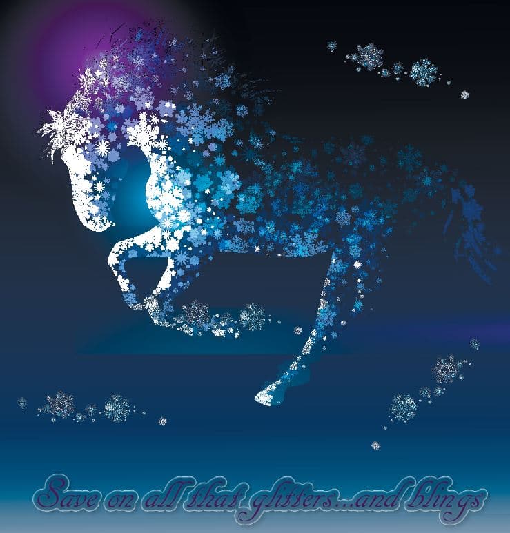 Horse Tack Clearance Sale The Connected Rider San Antonio English