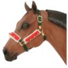 Holiday Halter/Bridle Set