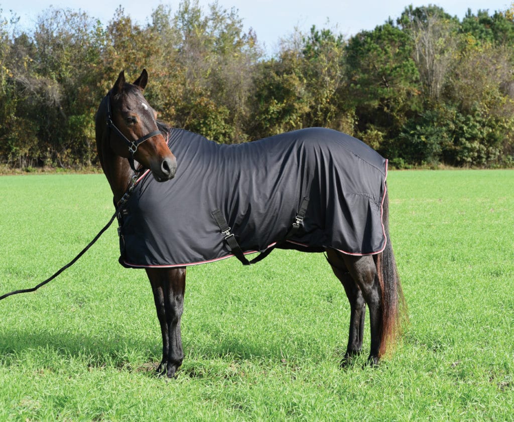 Horse Sheets The Connected Rider