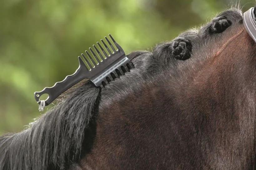 Horse Supplies