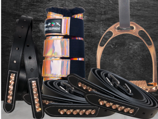 Ritzy EQ Ariana Stirrup Leathers