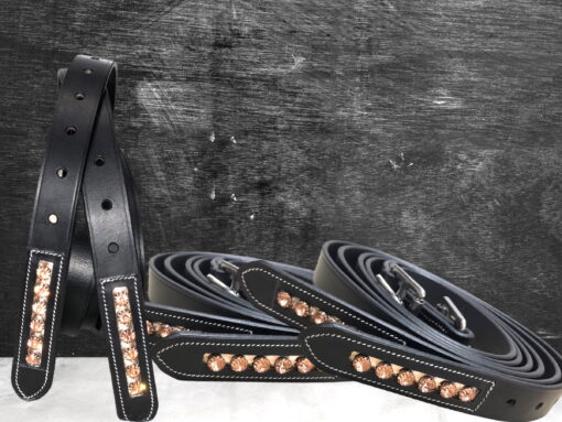 Ritzy EQ Ariana Stirrup Leathers