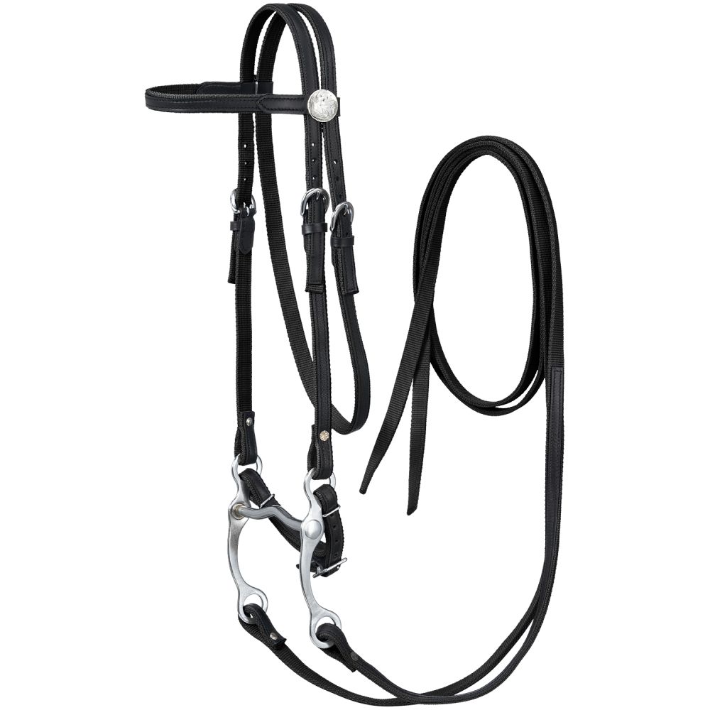 King Series Draft Horse Leather Bridle The Connected Rider San