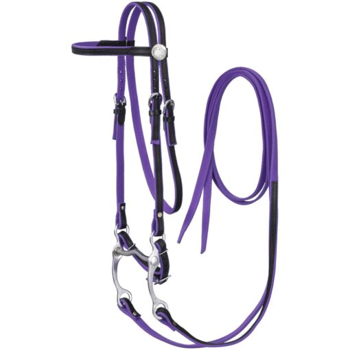 King Series Nylon Browband Bridle with Leather Overlay