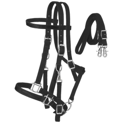 King Series Nylon Halter/Bridle Combo with Reins