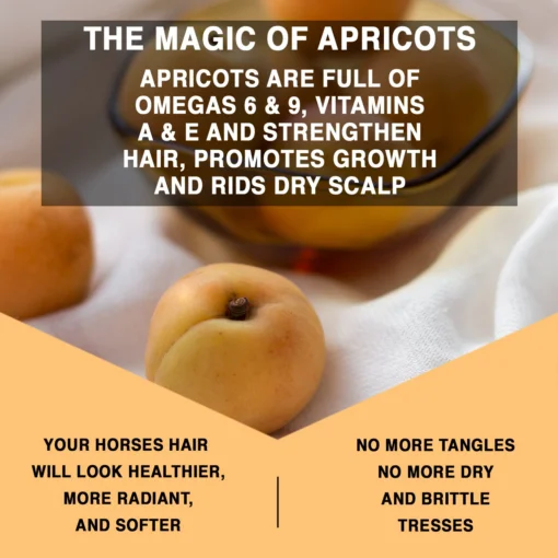 Knotty Horse Apricot Detangler 12 OZ - Image 4